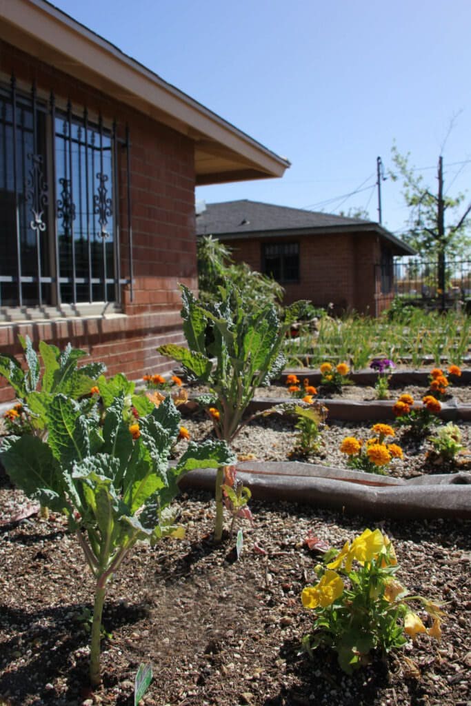 Website Garden Image 4