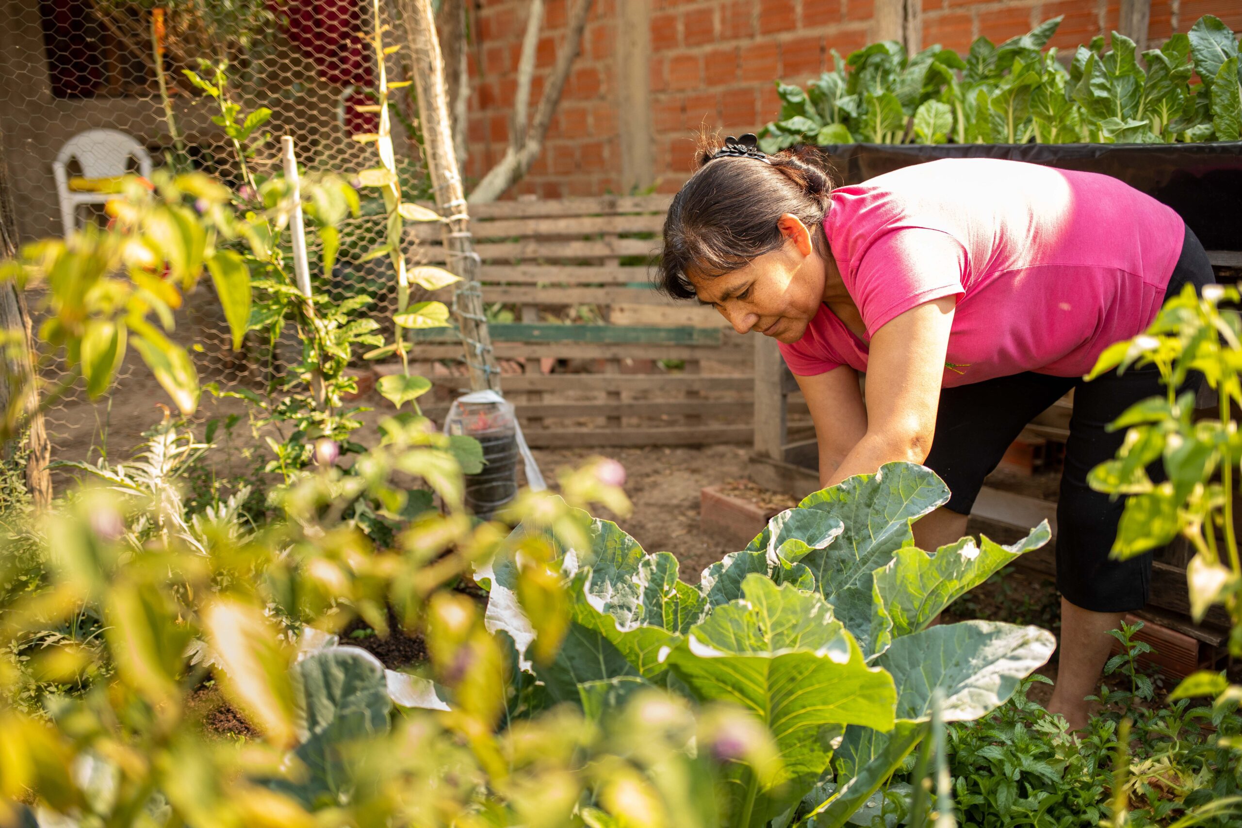 bolivia global impact 3 scaled