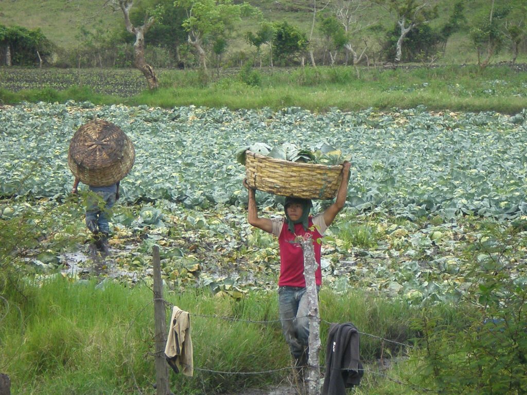 nicaragua global impact 17