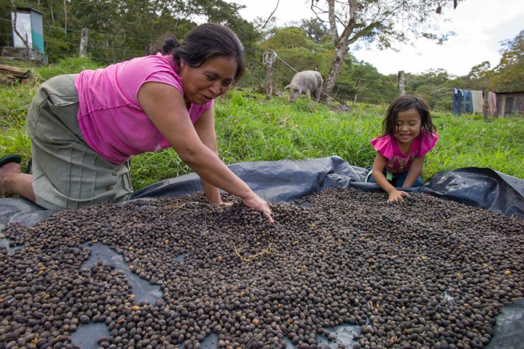 nicaragua global impact 6