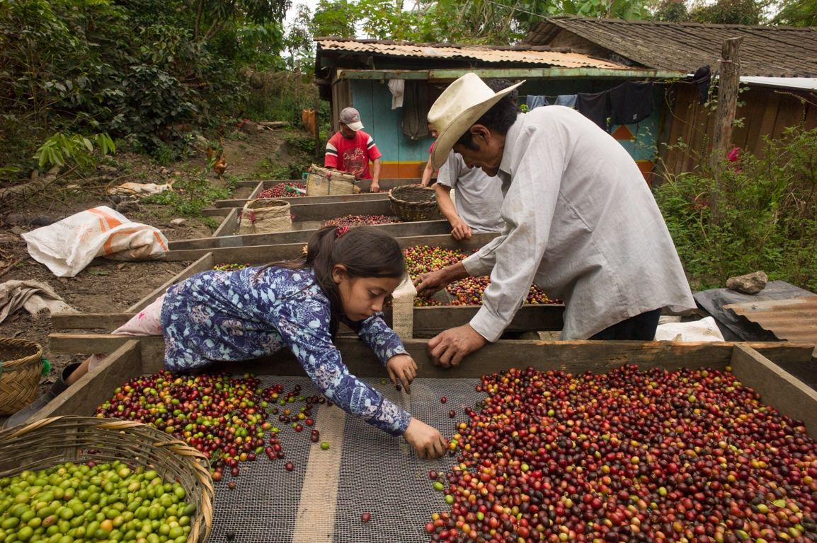 nicaragua global impact 7